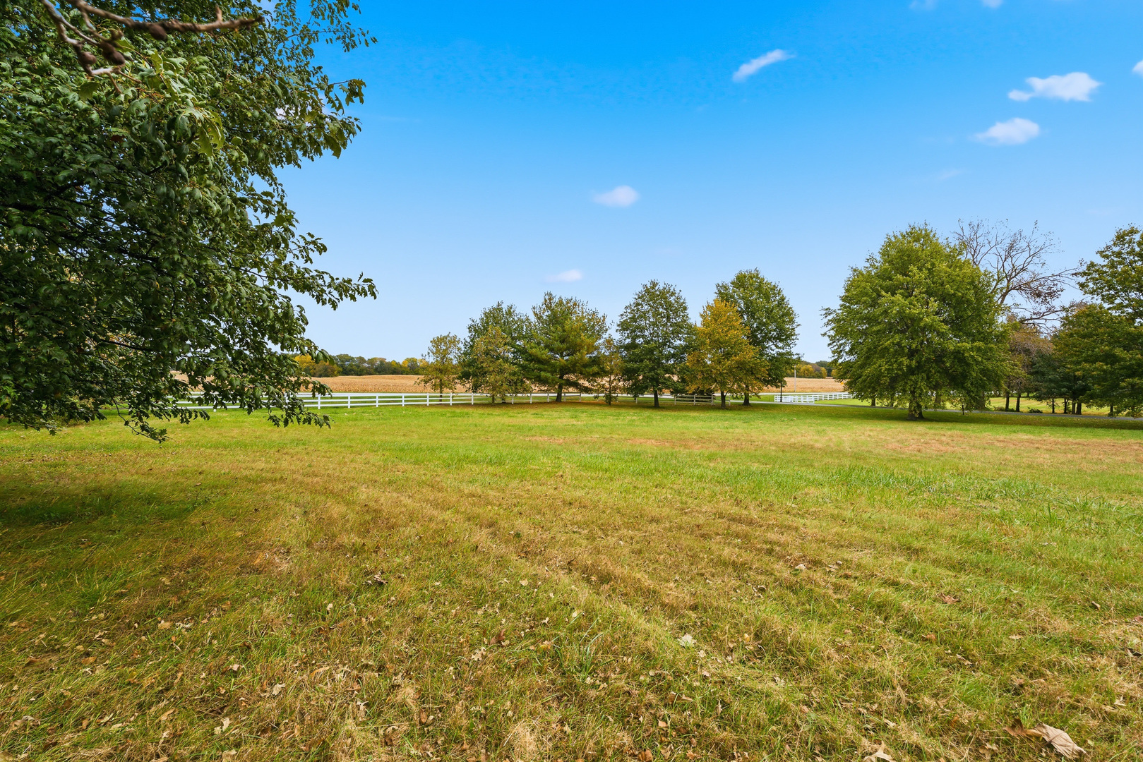 main property photo 10