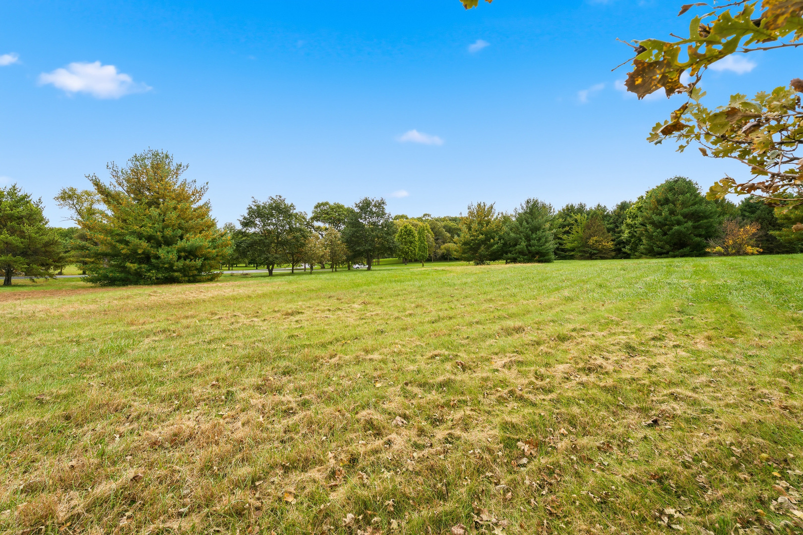 main property photo 11