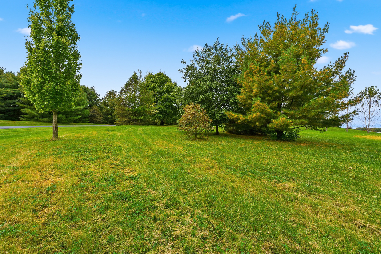 main property photo 16