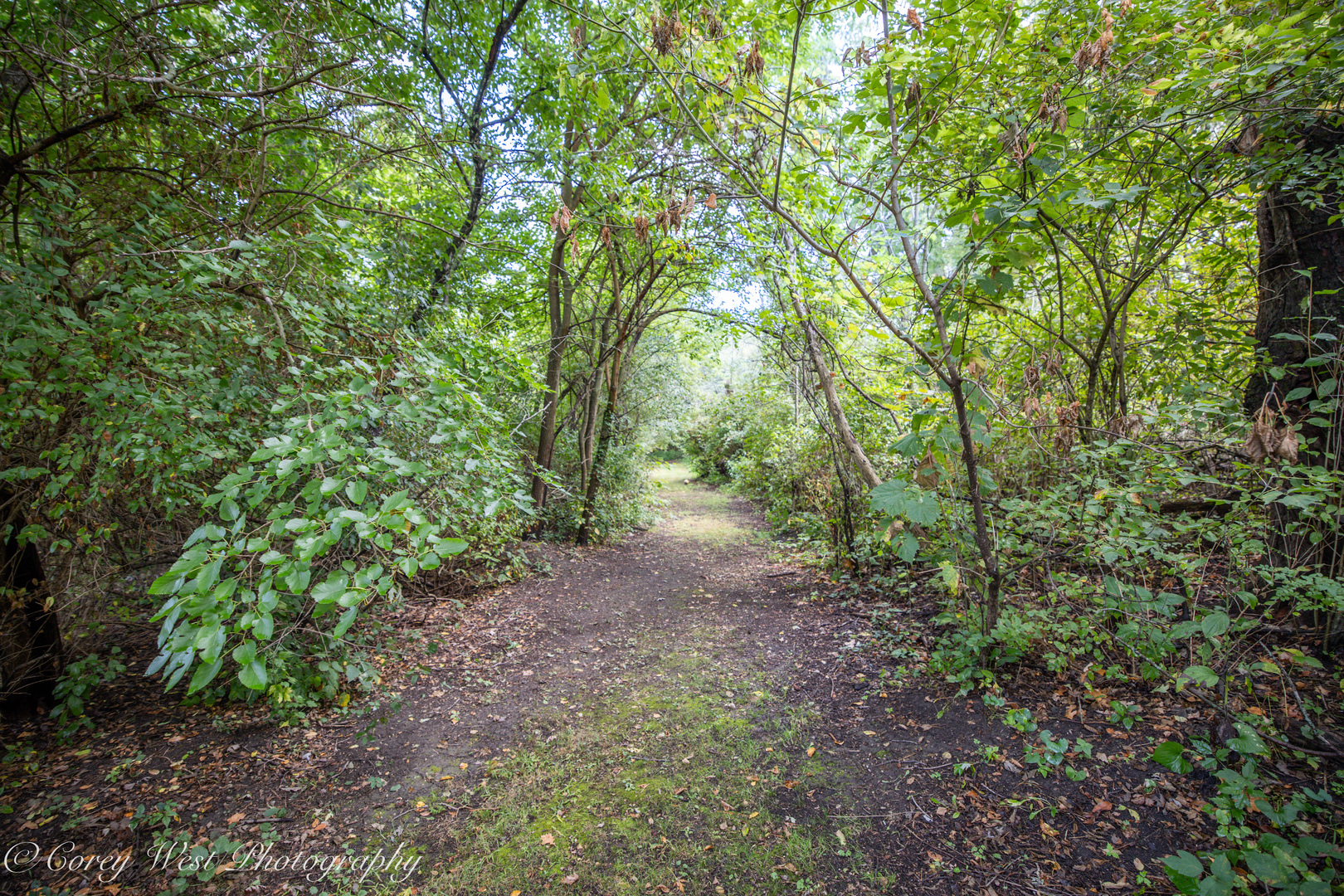 main property photo 52
