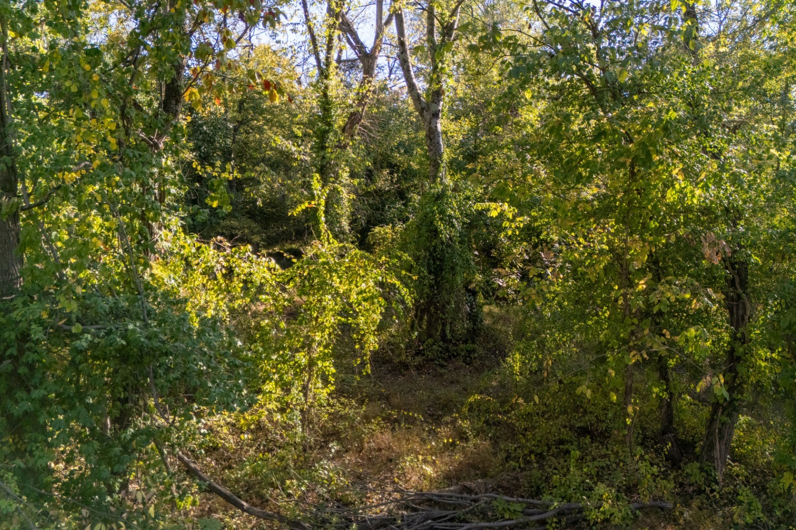 main property photo 8