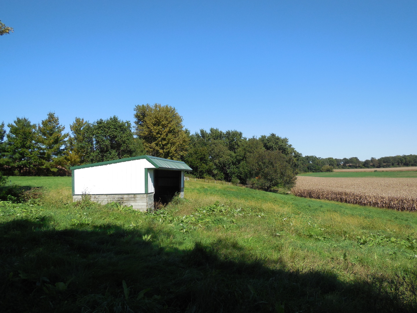 main property photo 46