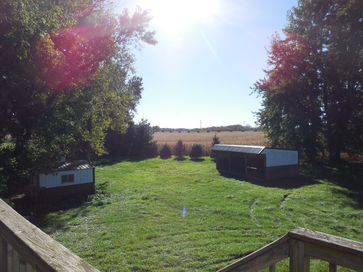 main property photo 62