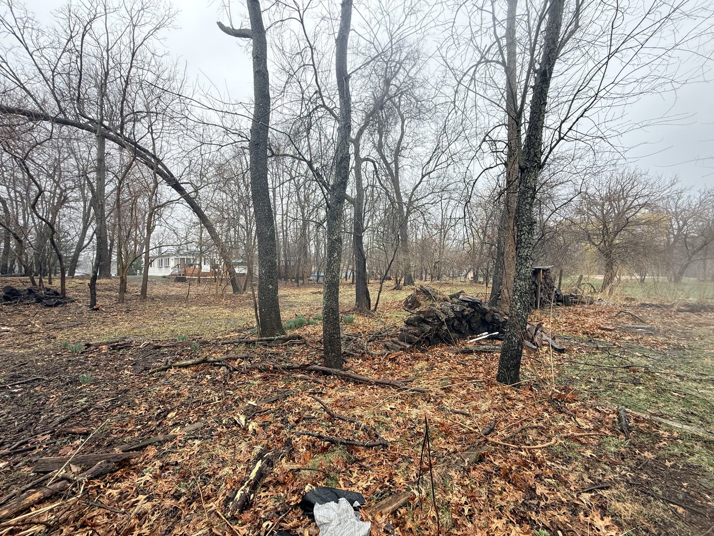 main property photo 25
