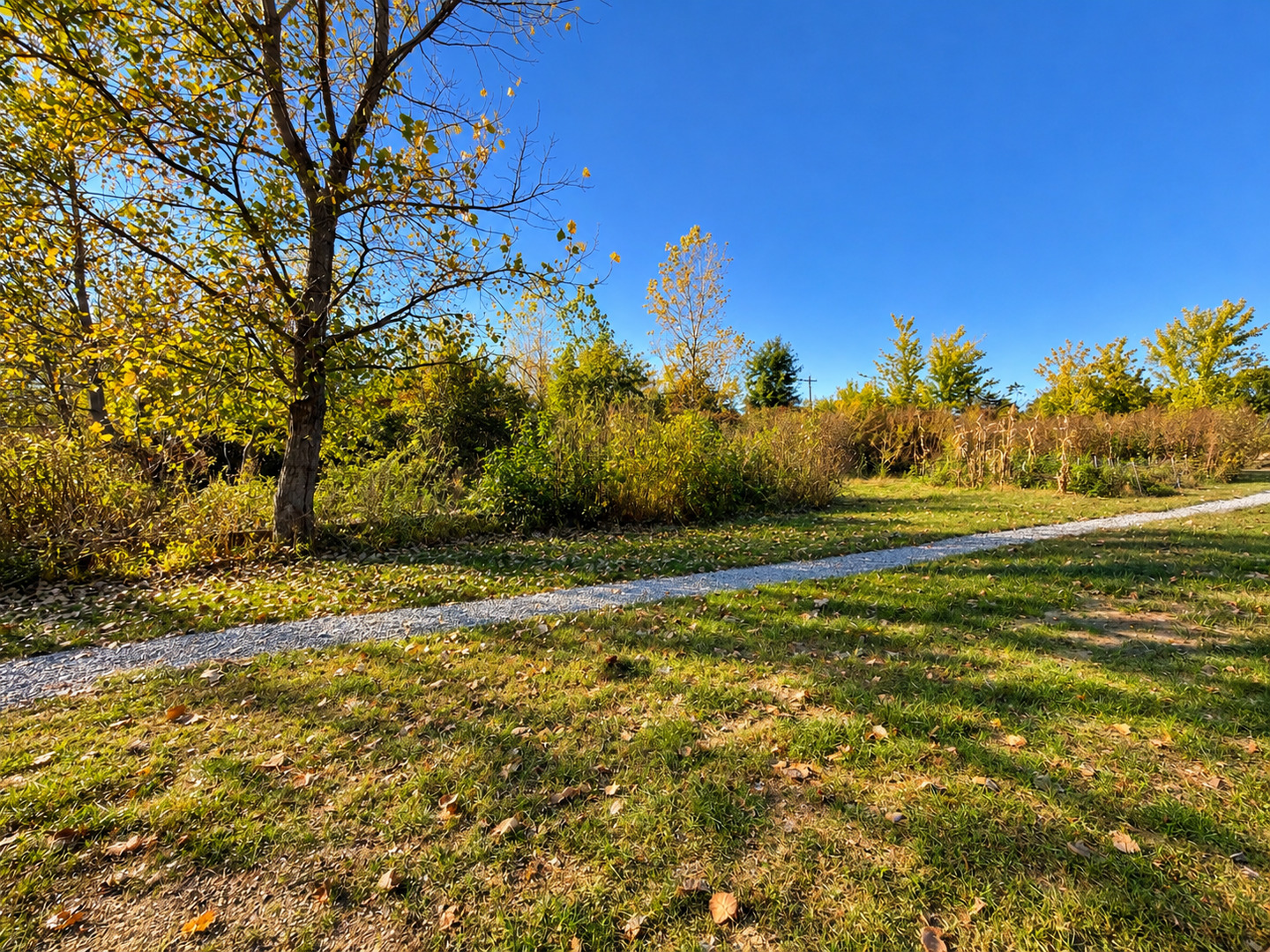 main property photo 109