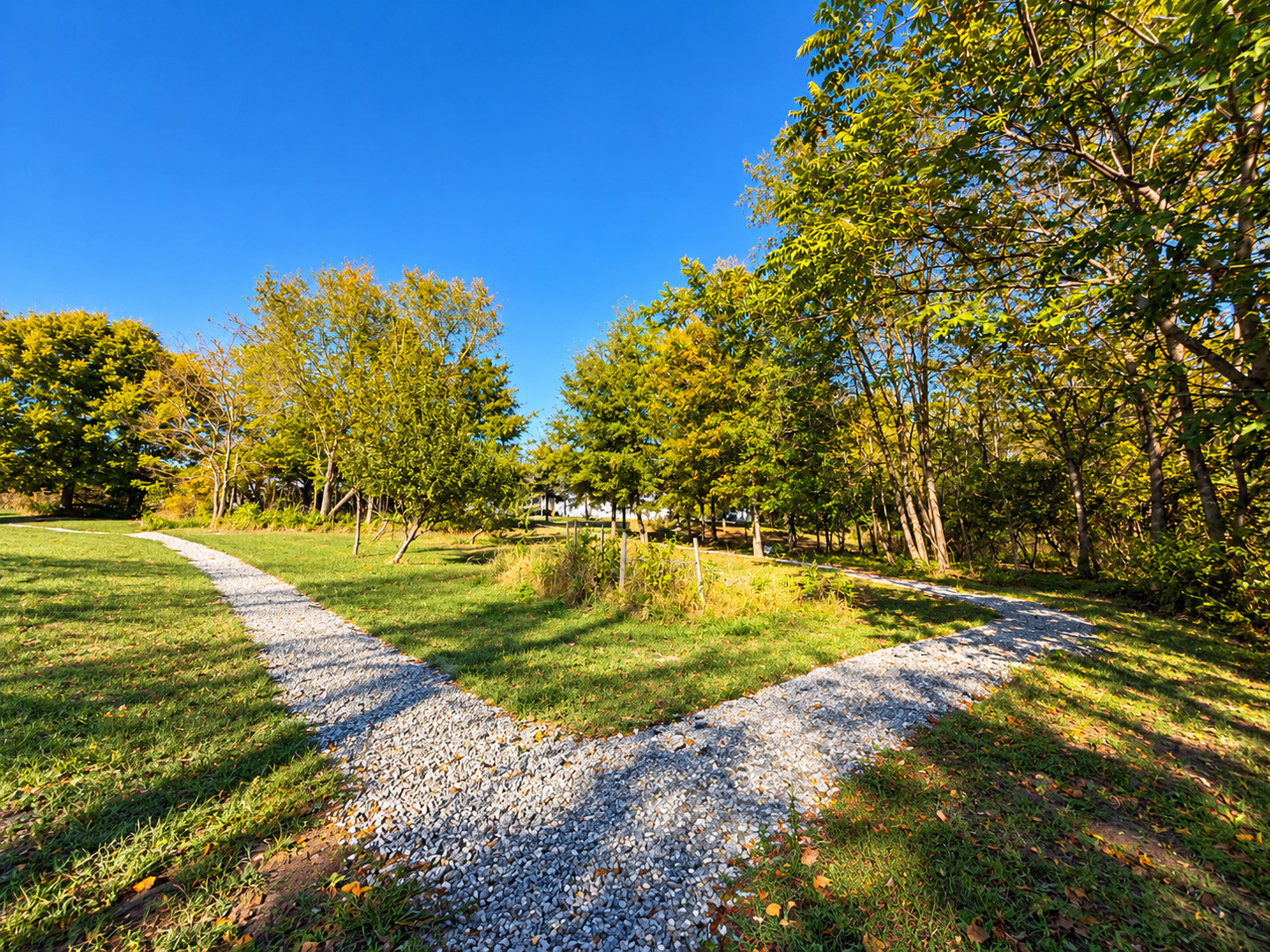 main property photo 113