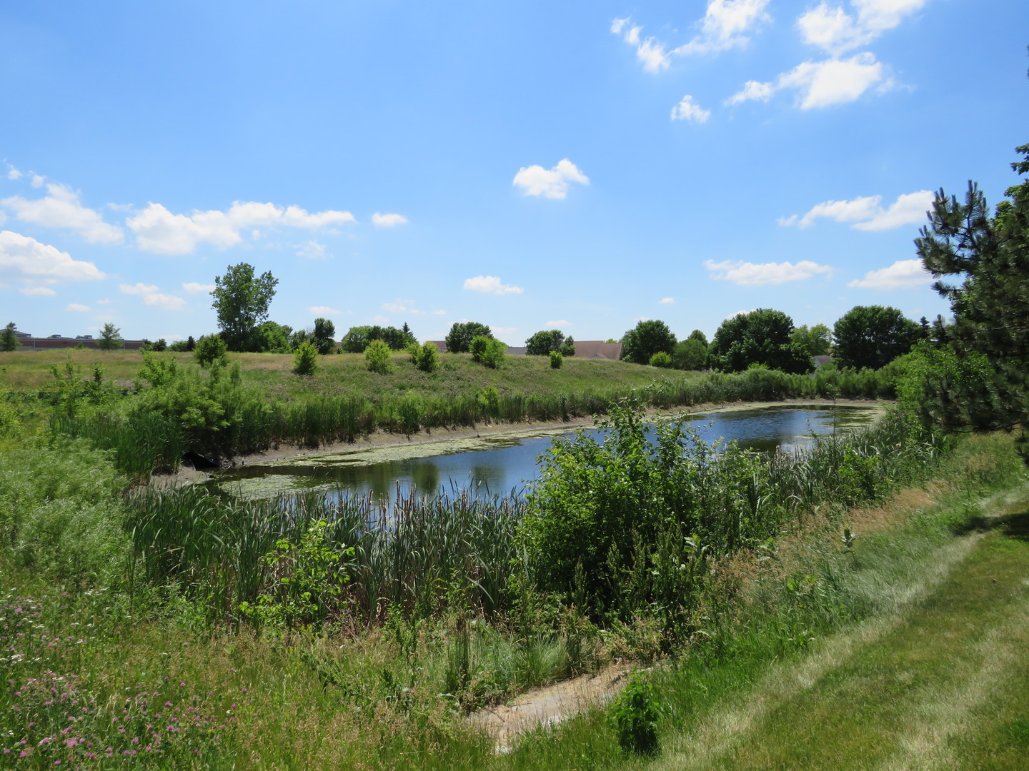 main property photo 6