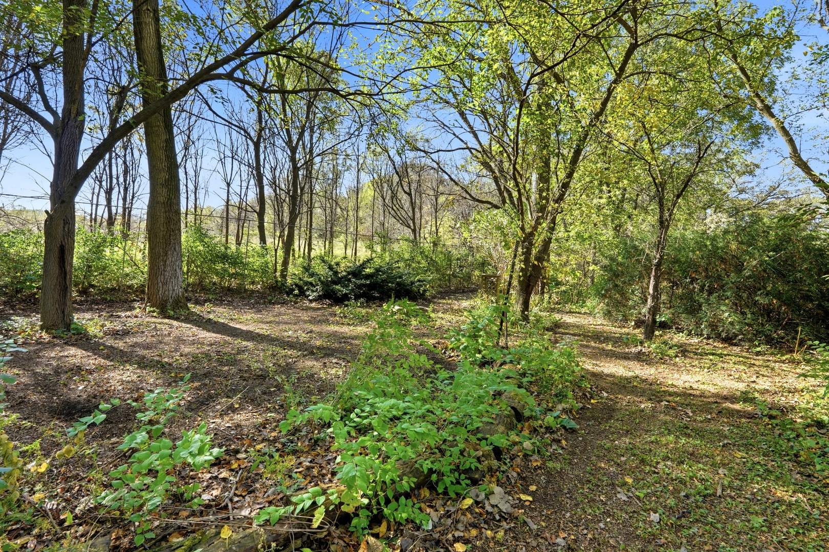 main property photo 41