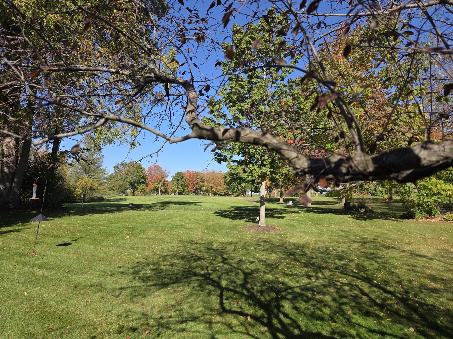 main property photo 39