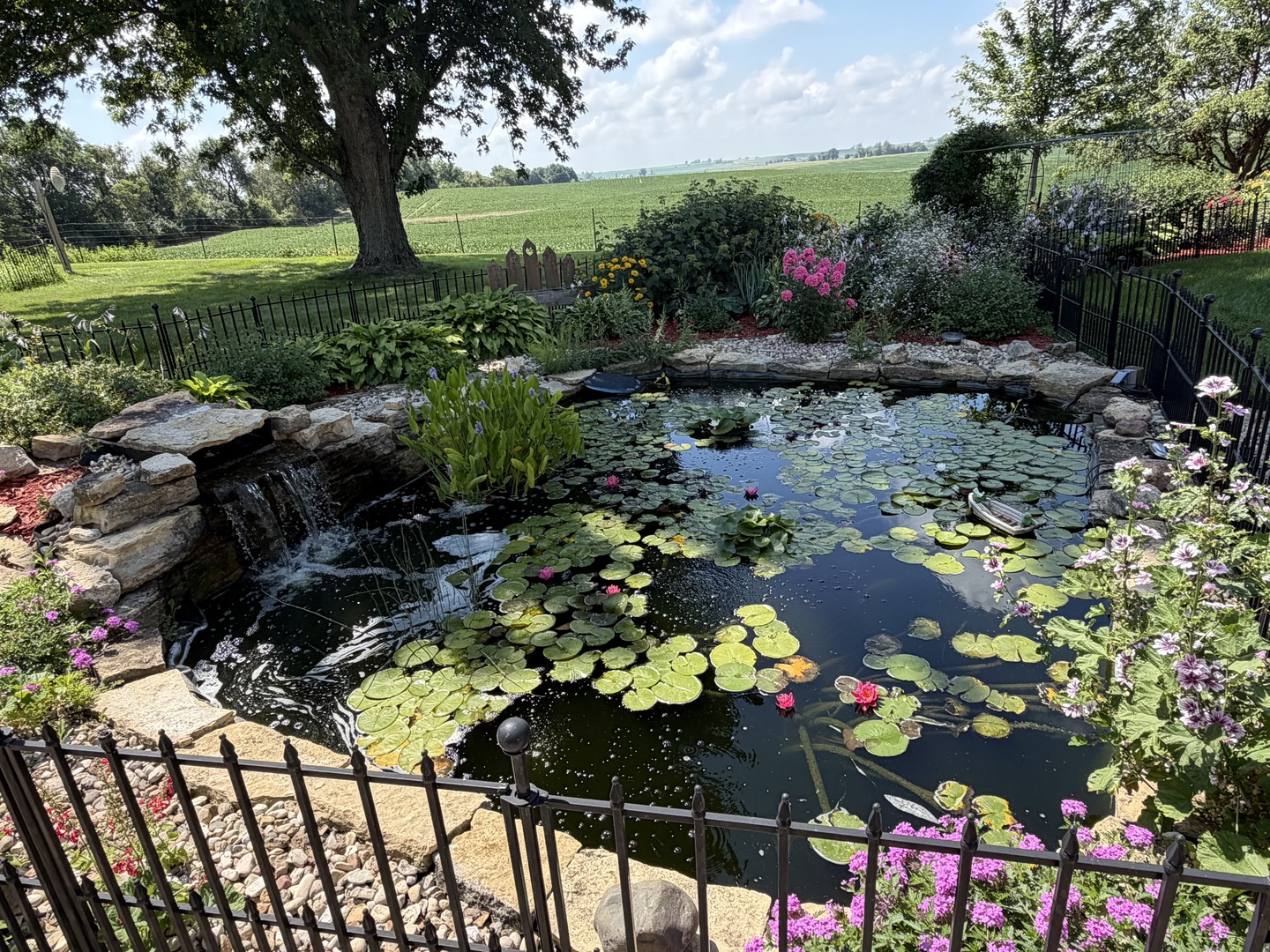 main property photo 33