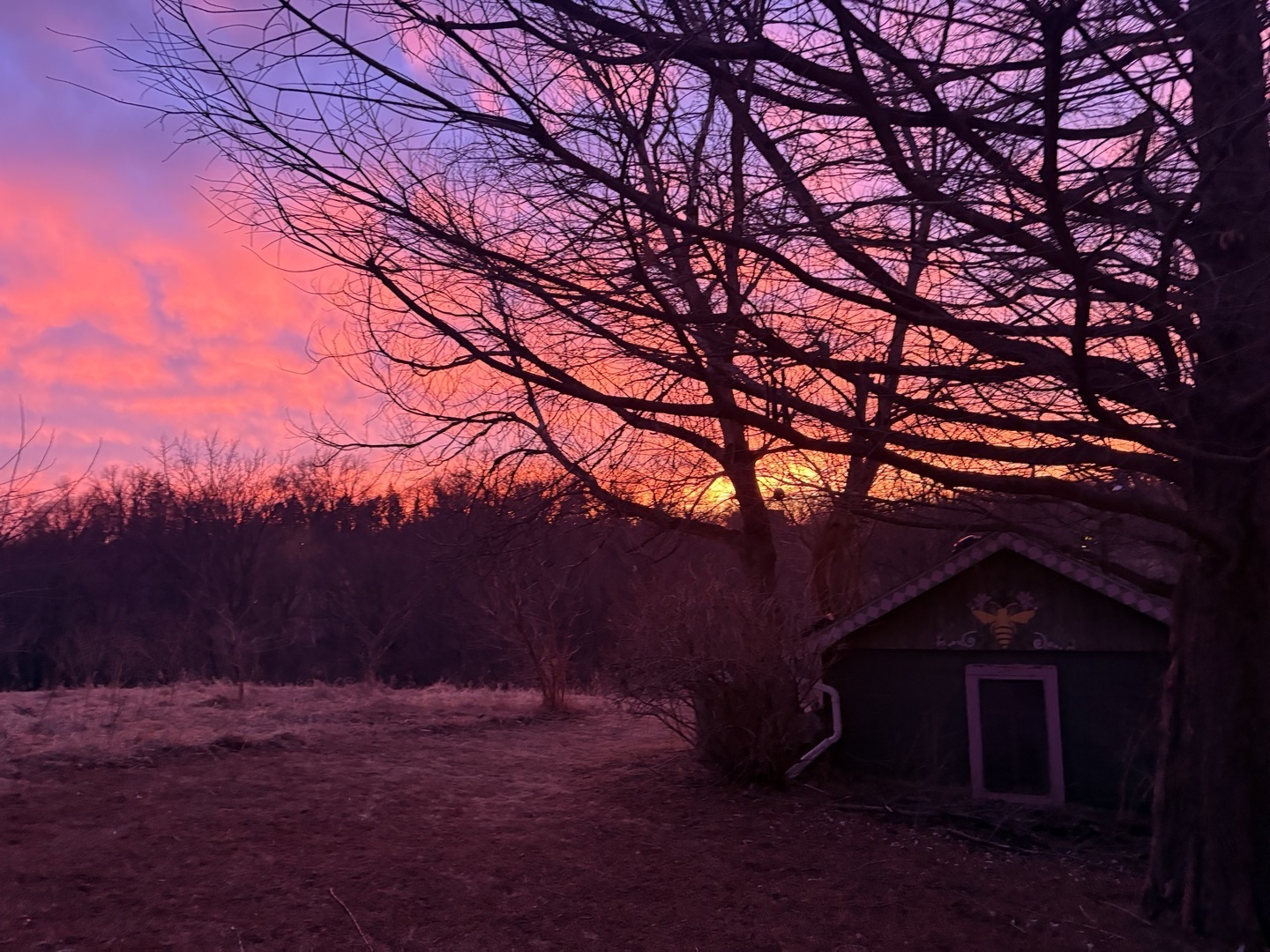 main property photo 32