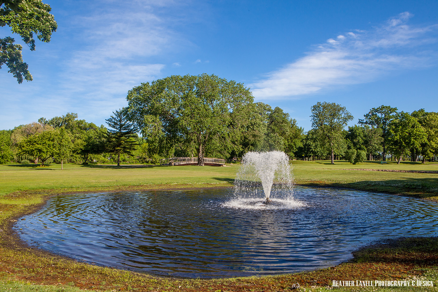 main property photo 99