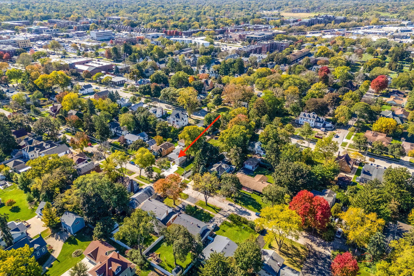 main property photo 25