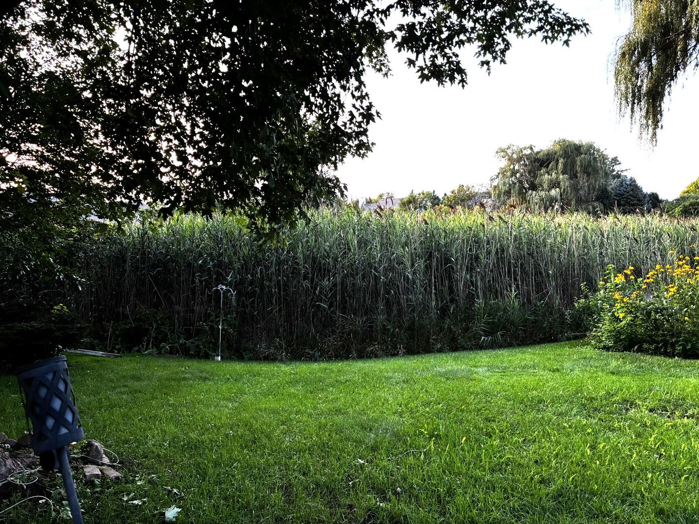 main property photo 25