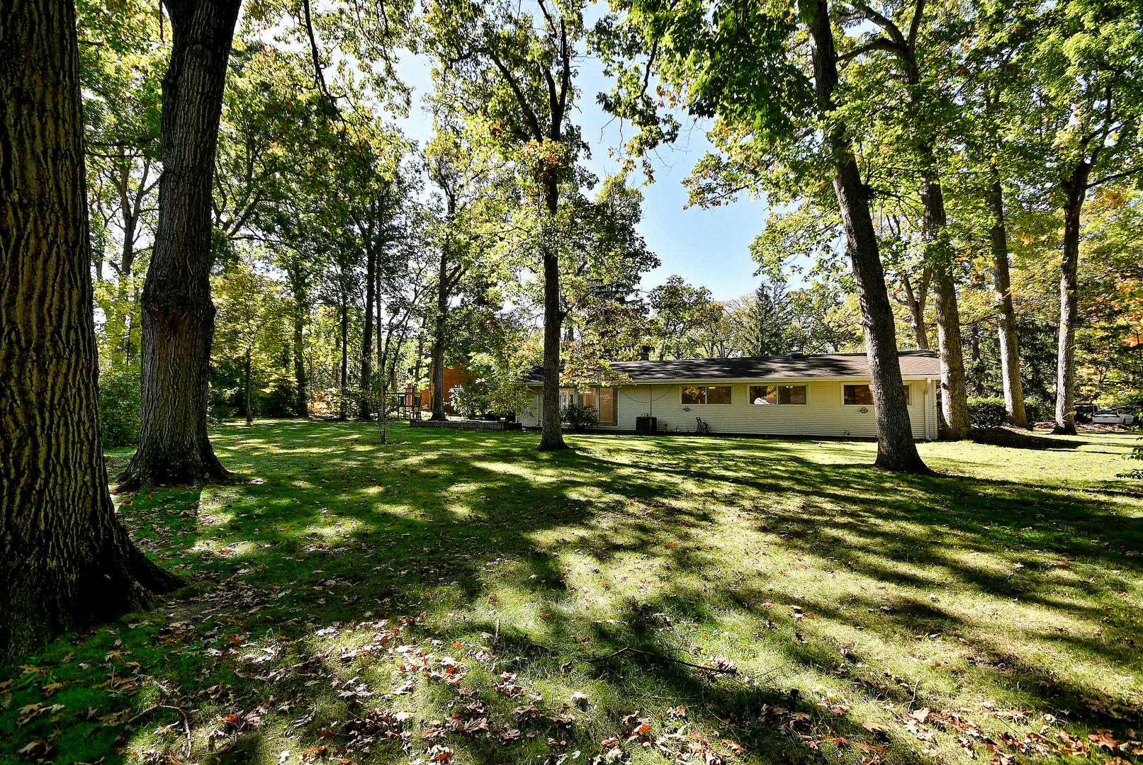 main property photo 39