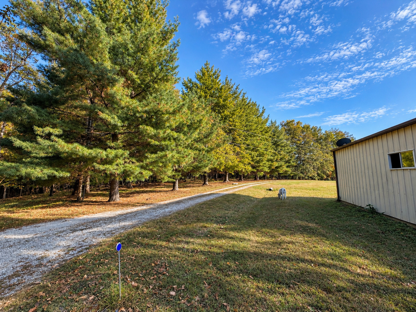 main property photo 11