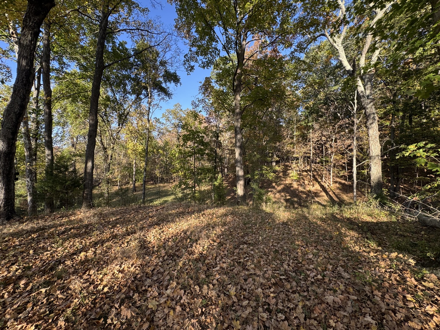 main property photo 23