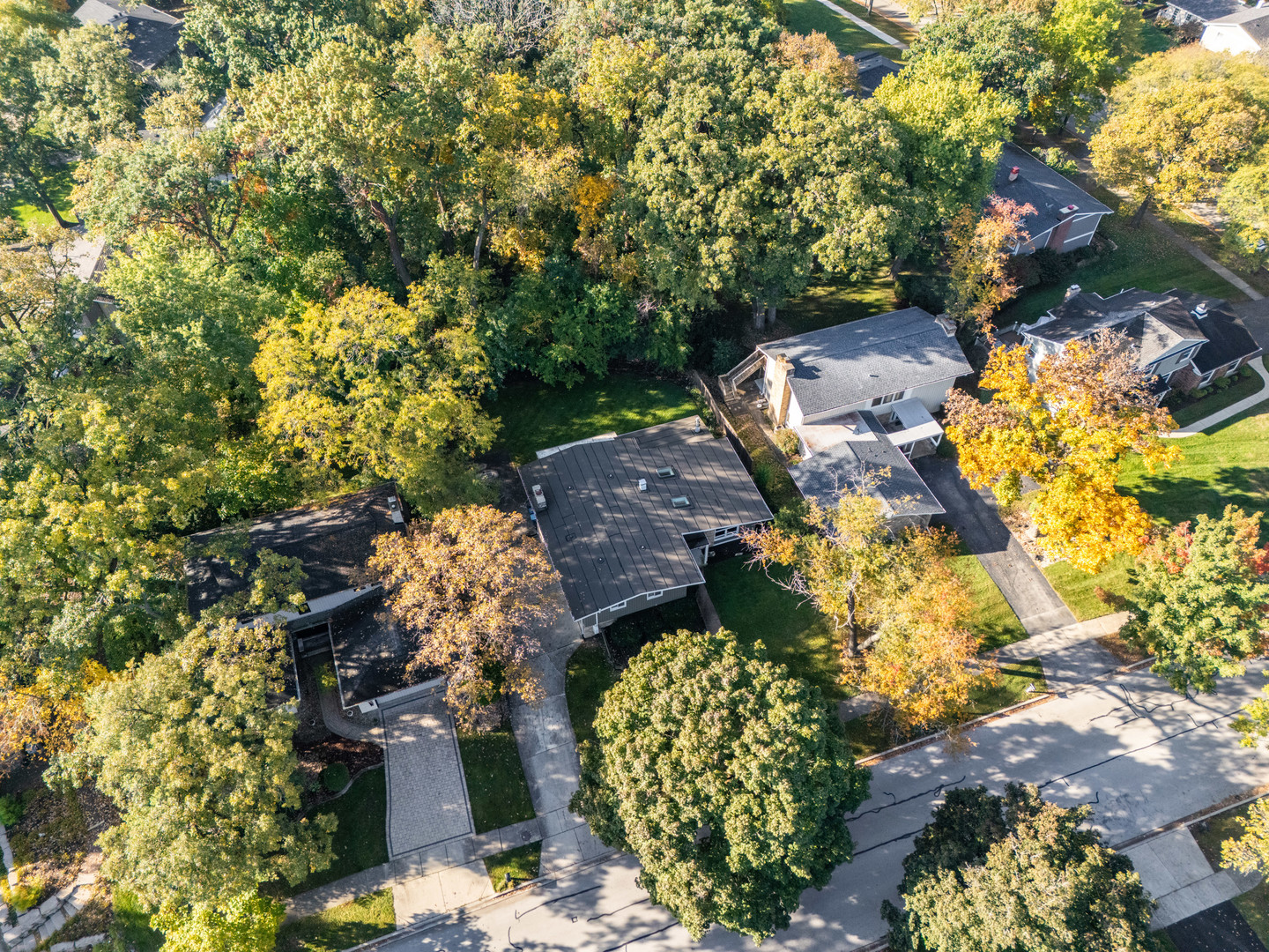 main property photo 48