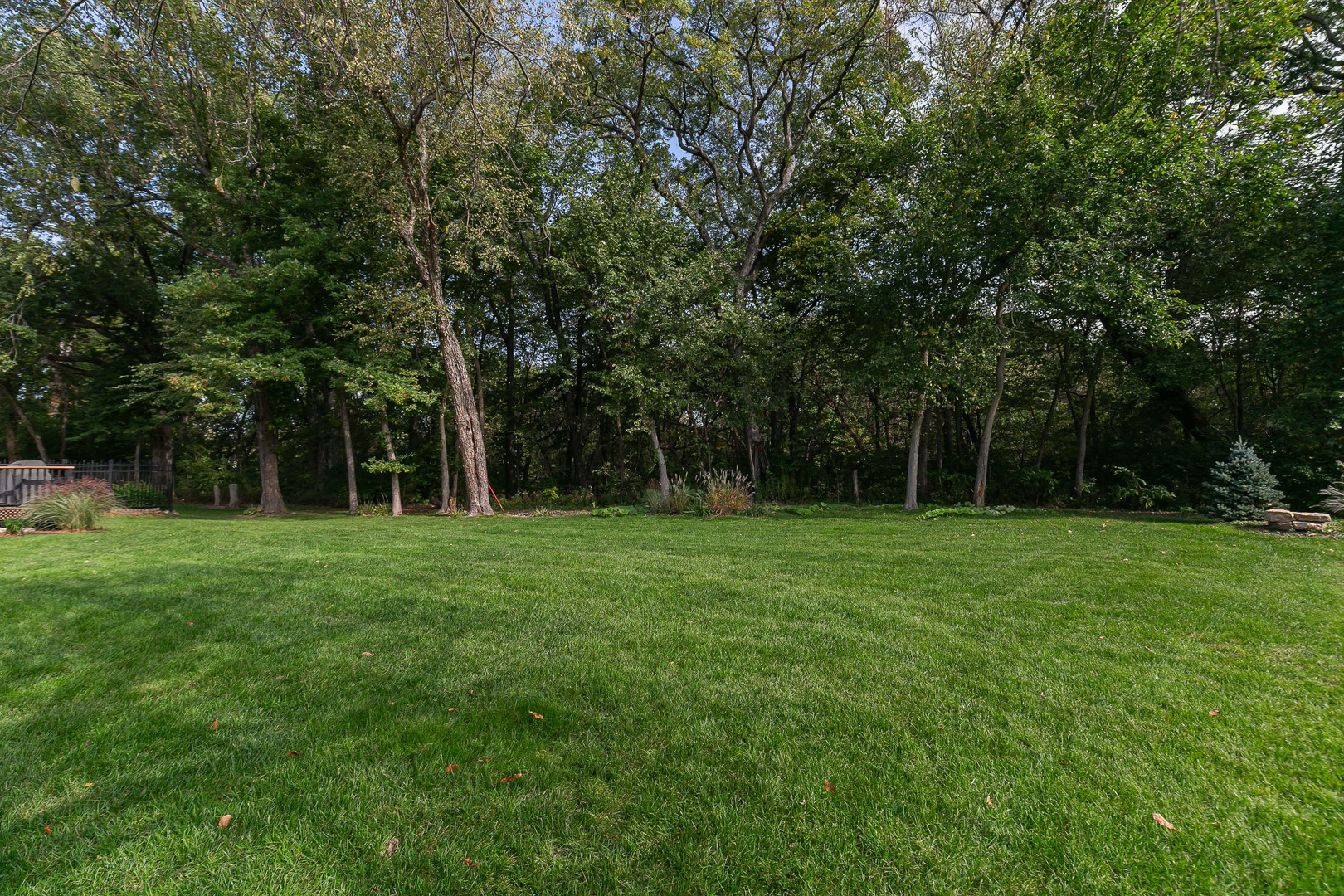 main property photo 56