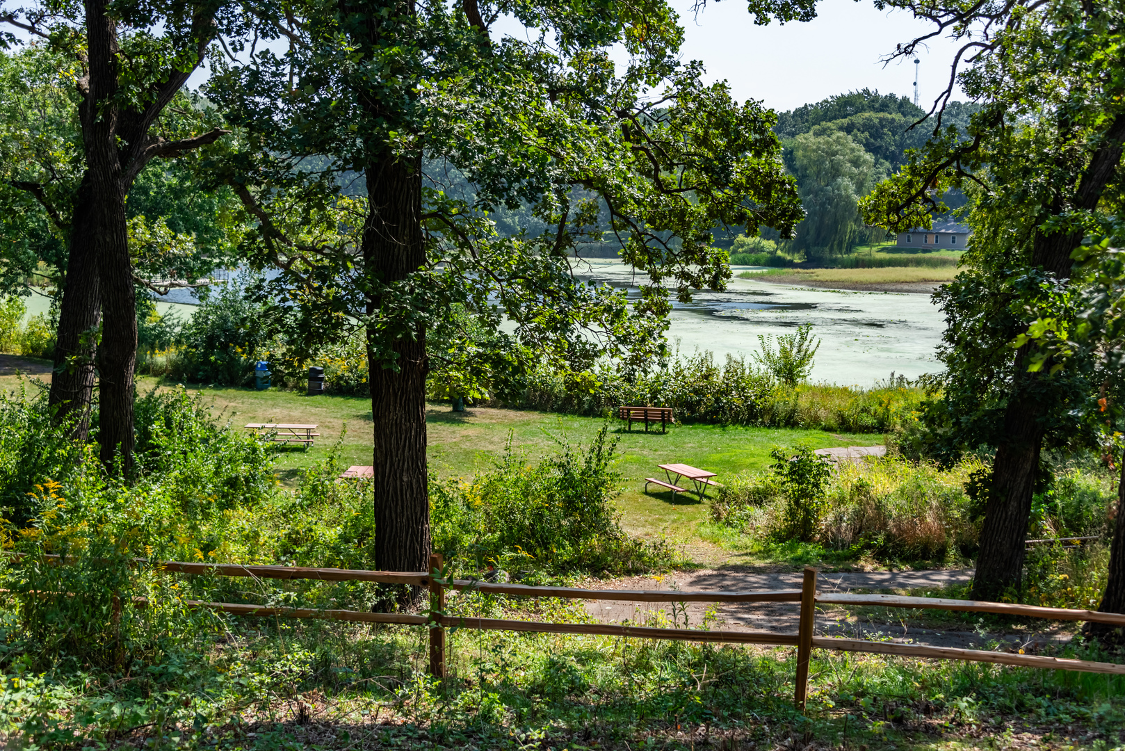 main property photo 67