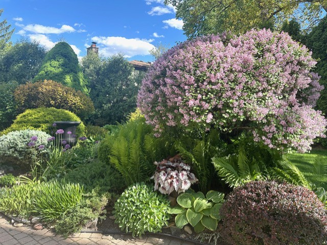 main property photo 34