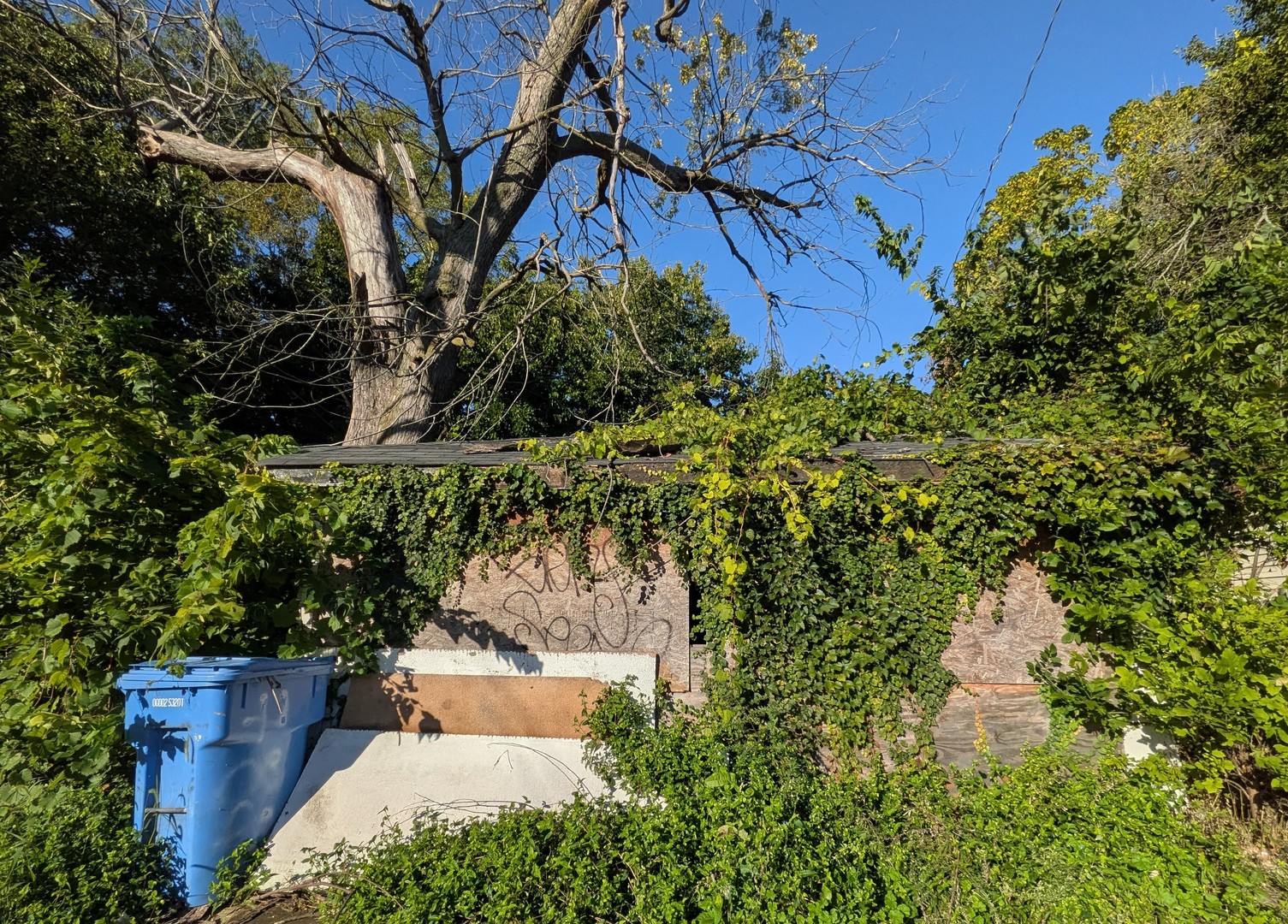 main property photo 14