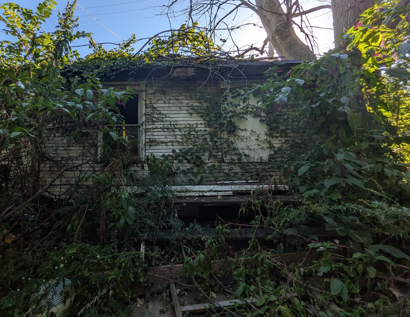 main property photo 15