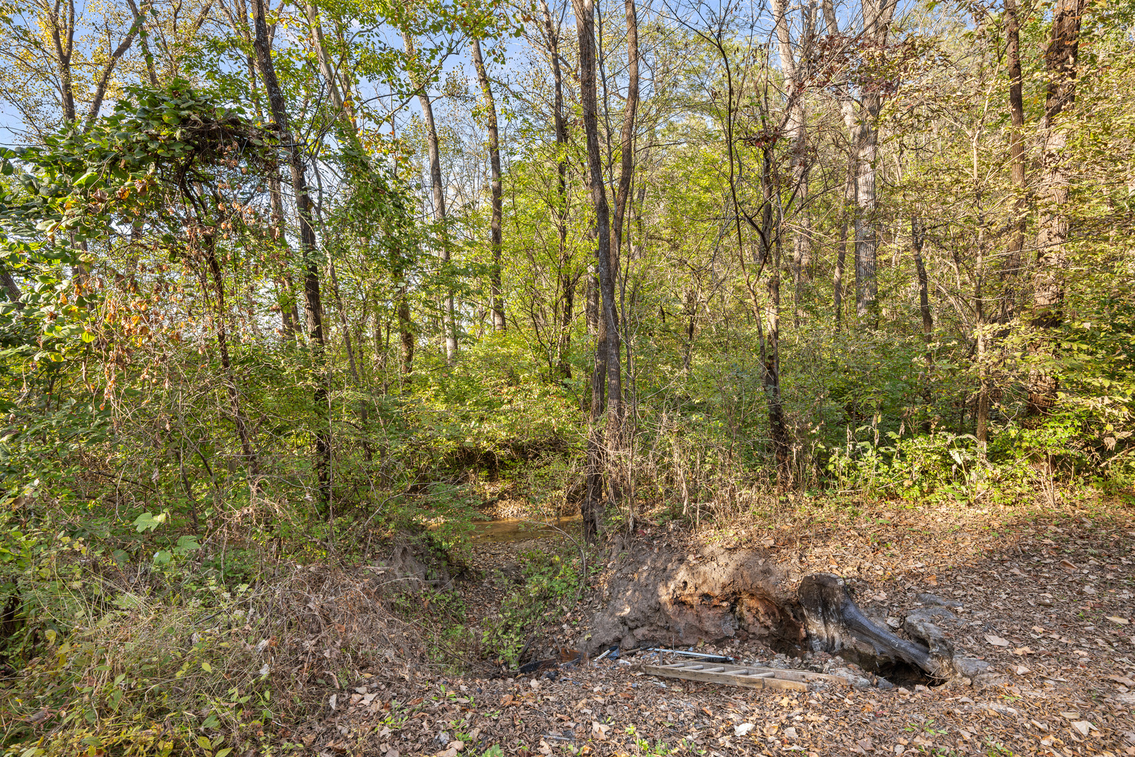 main property photo 12