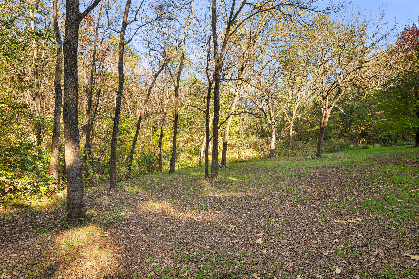 main property photo 13
