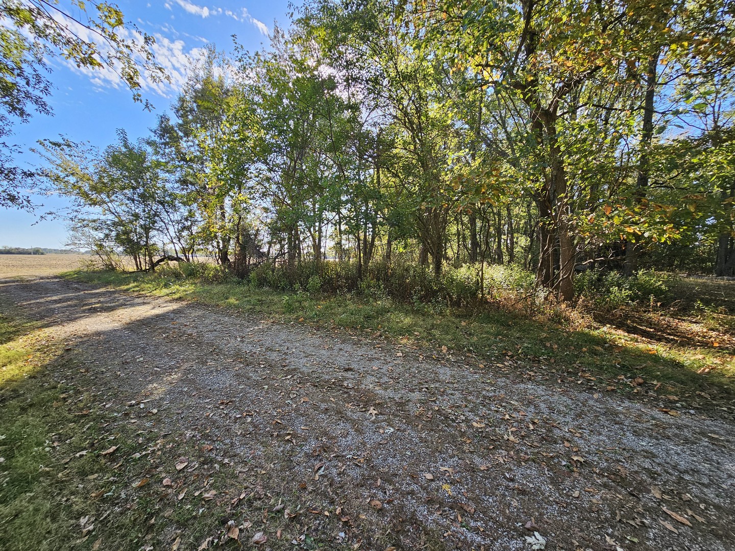 main property photo 0