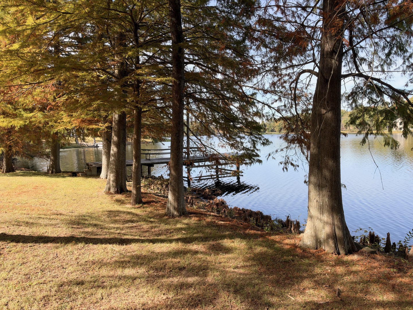 main property photo 13