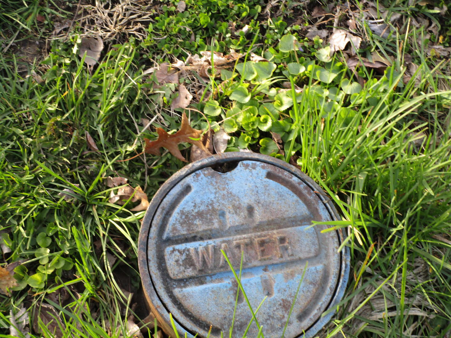 main property photo 6