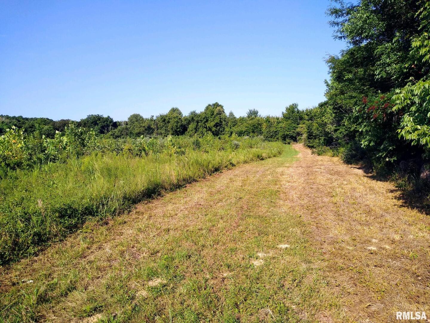 main property photo 15