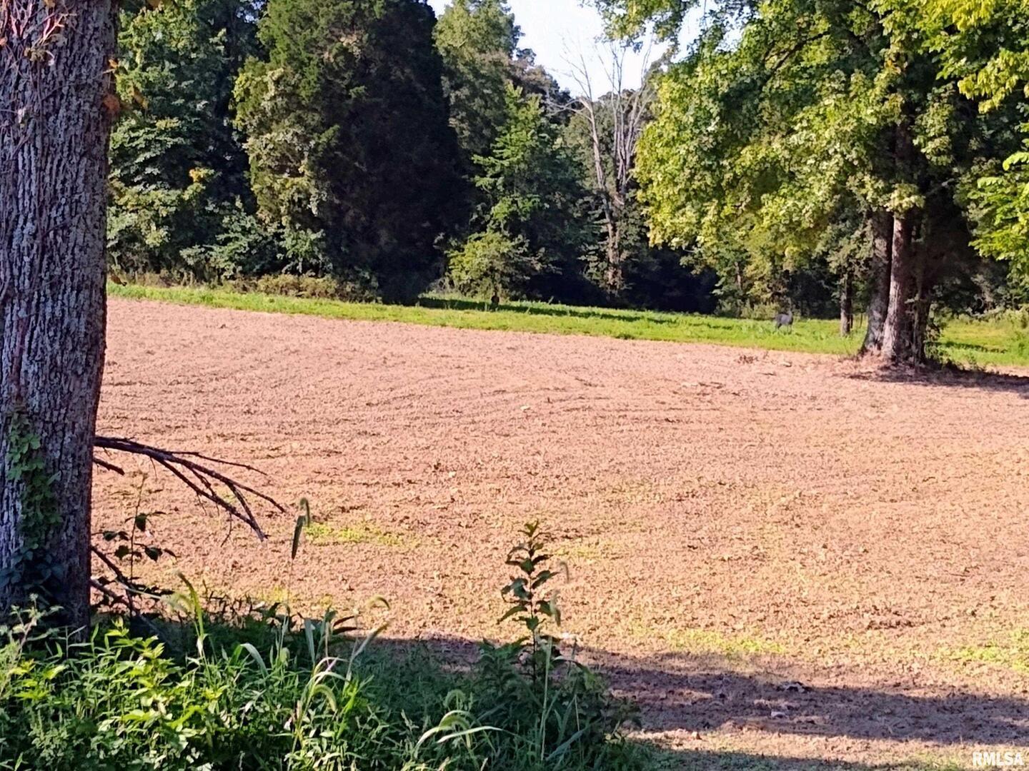 main property photo 18