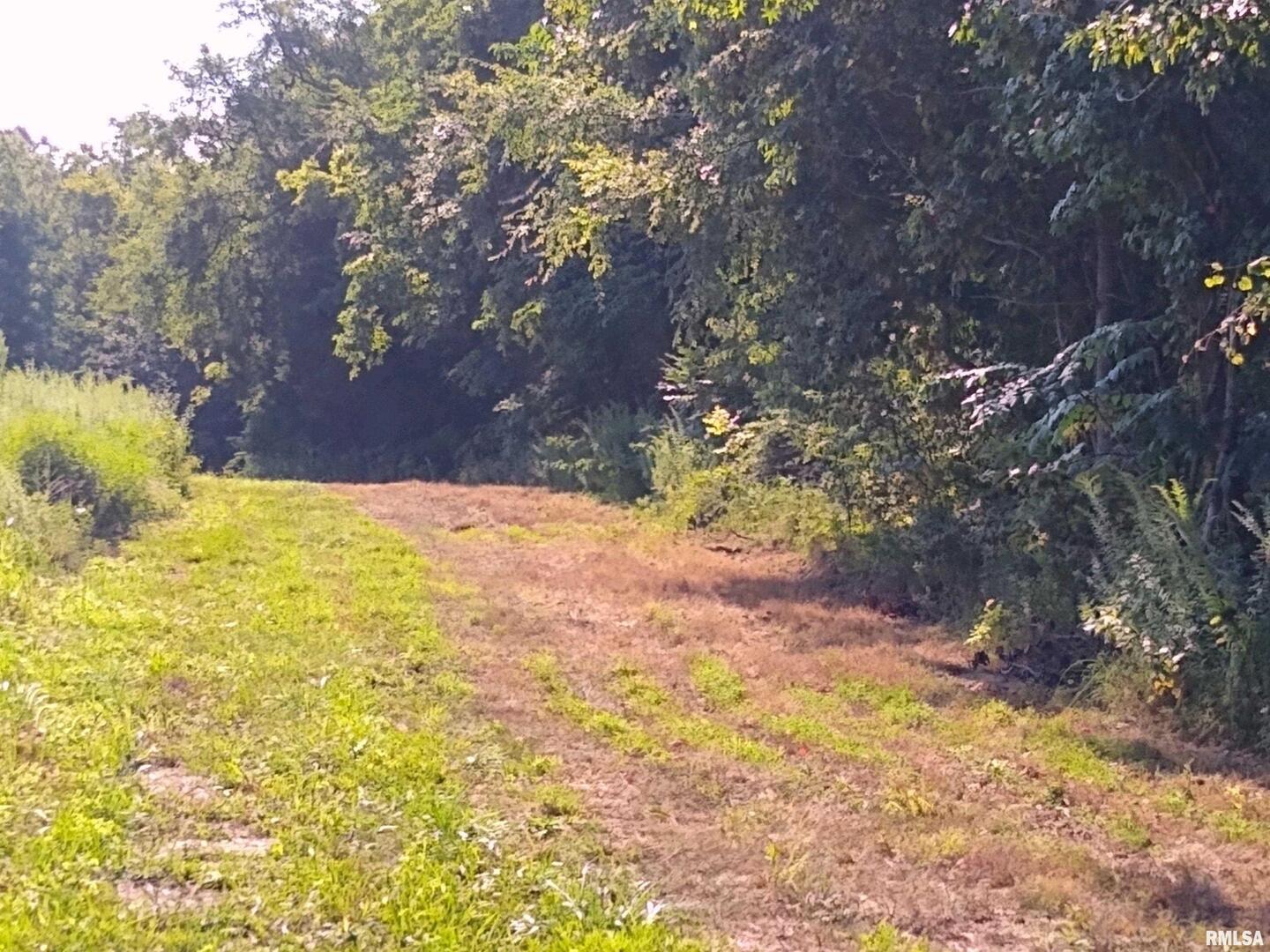 main property photo 19