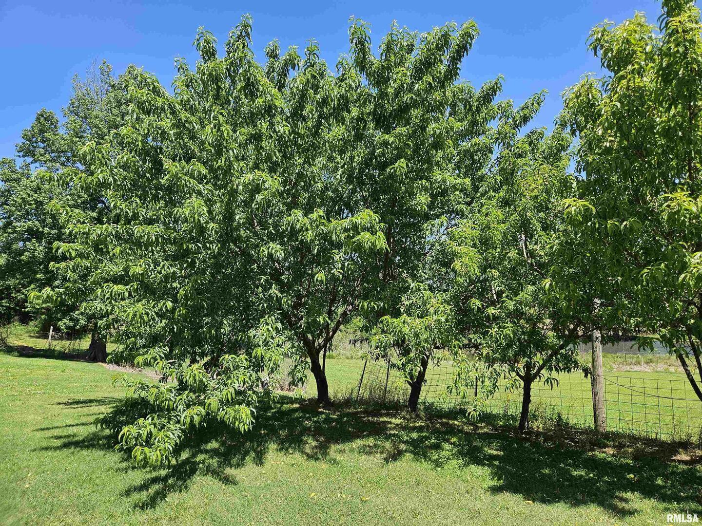 main property photo 21