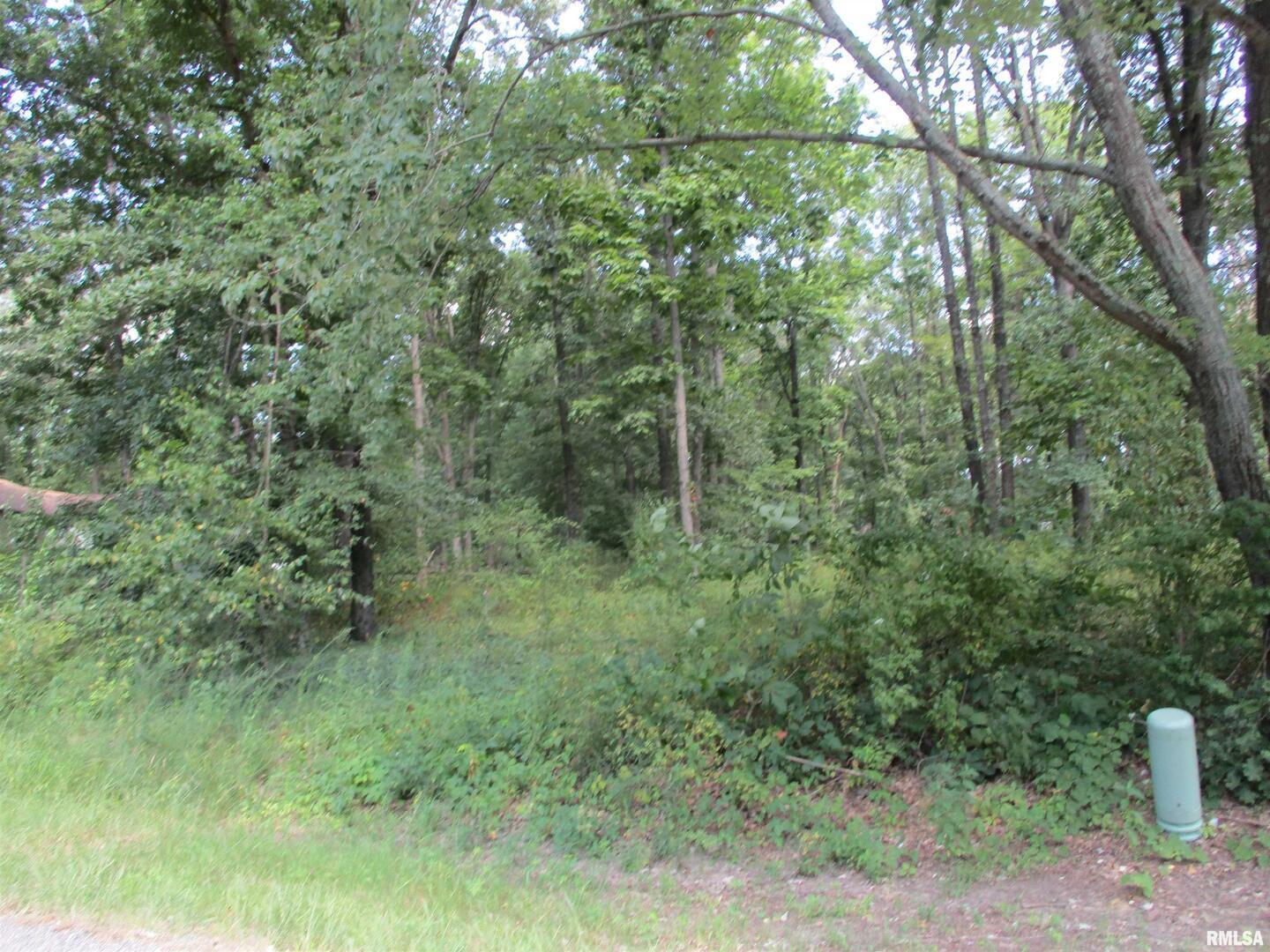 main property photo 5