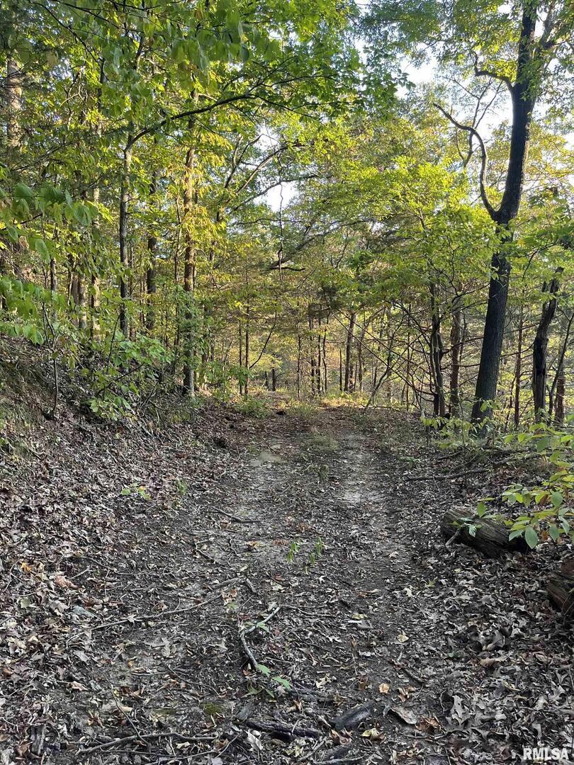 main property photo 46
