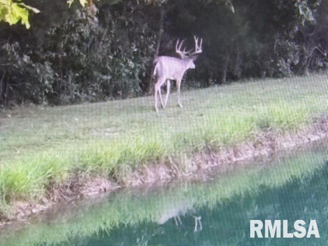 main property photo 53