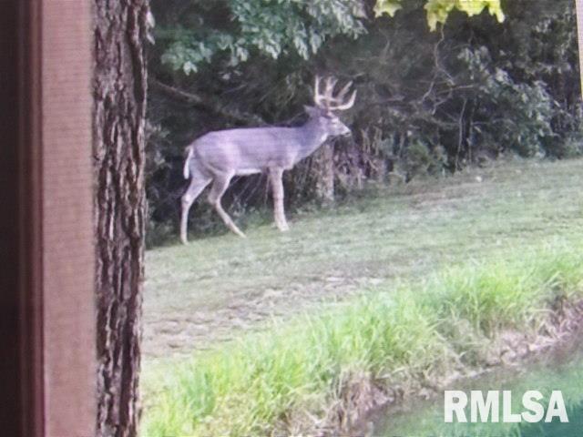 main property photo 54
