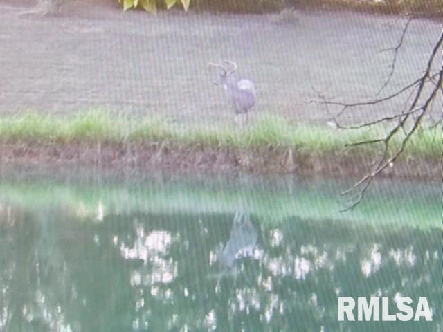 main property photo 55