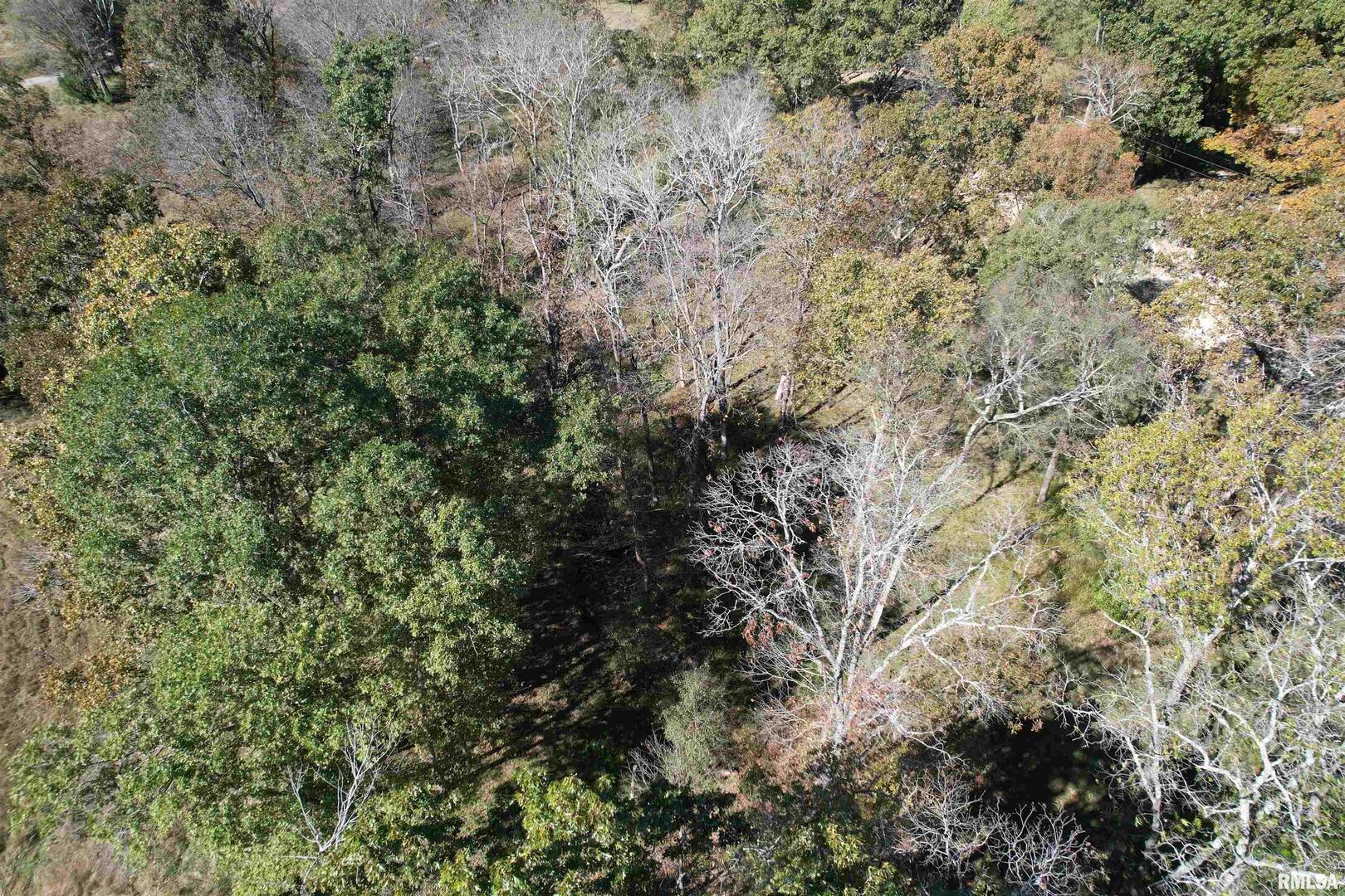 main property photo 11