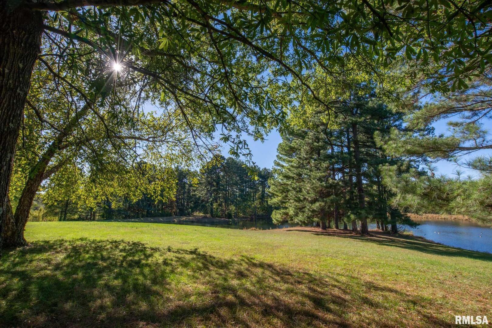 main property photo 31