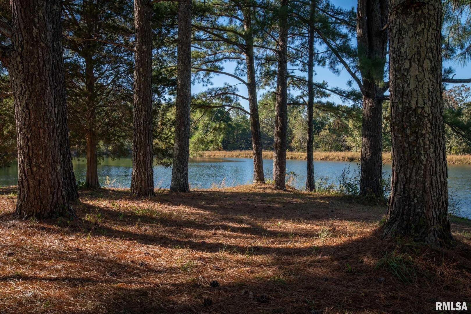 main property photo 47