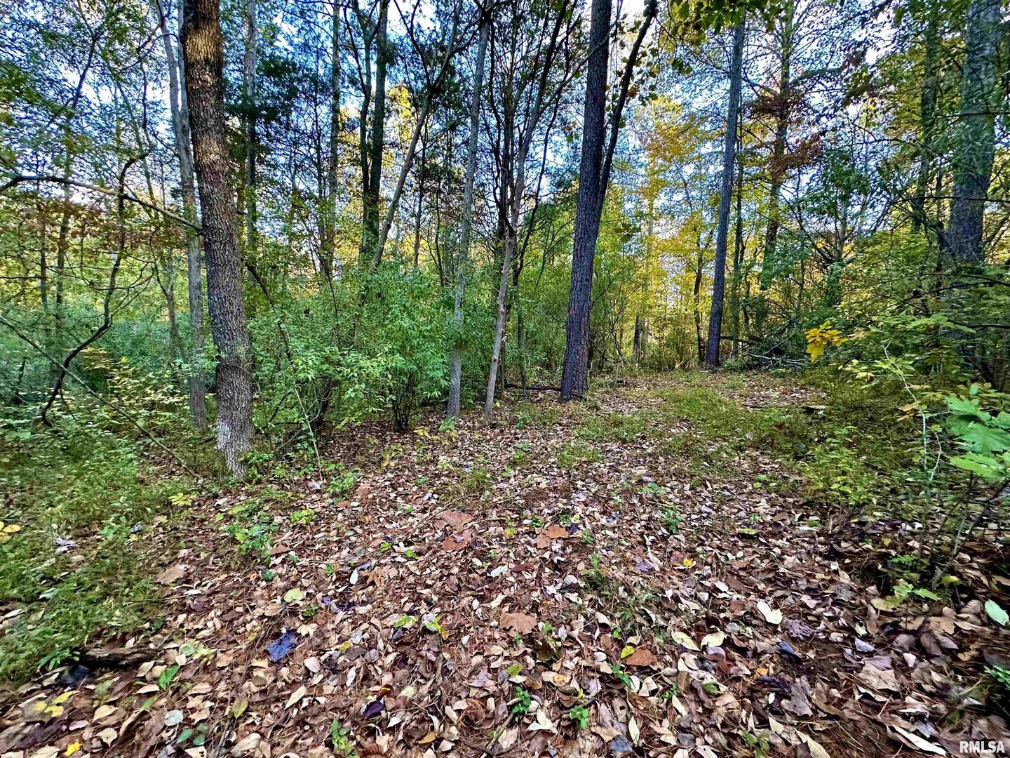main property photo 50