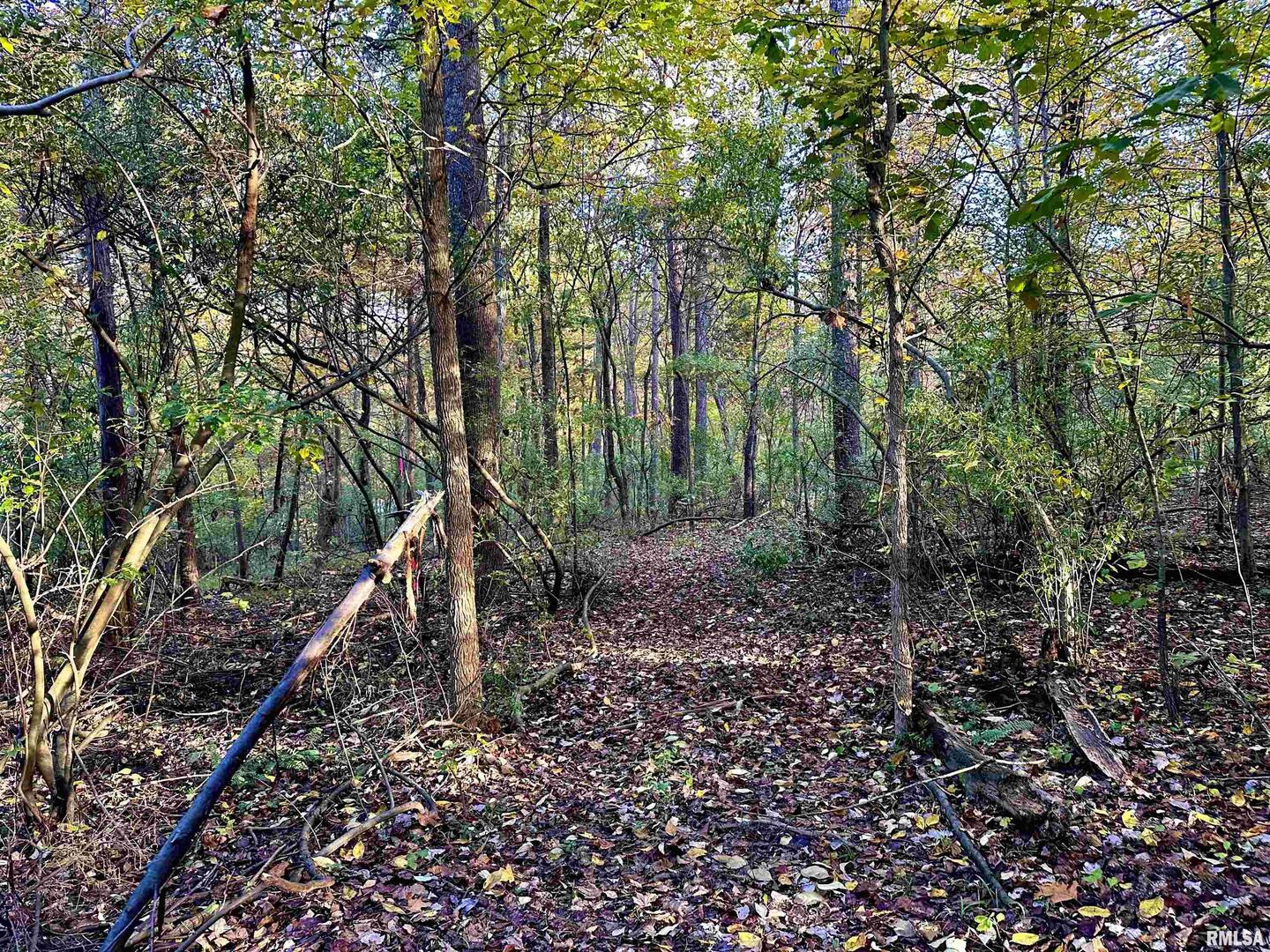 main property photo 51