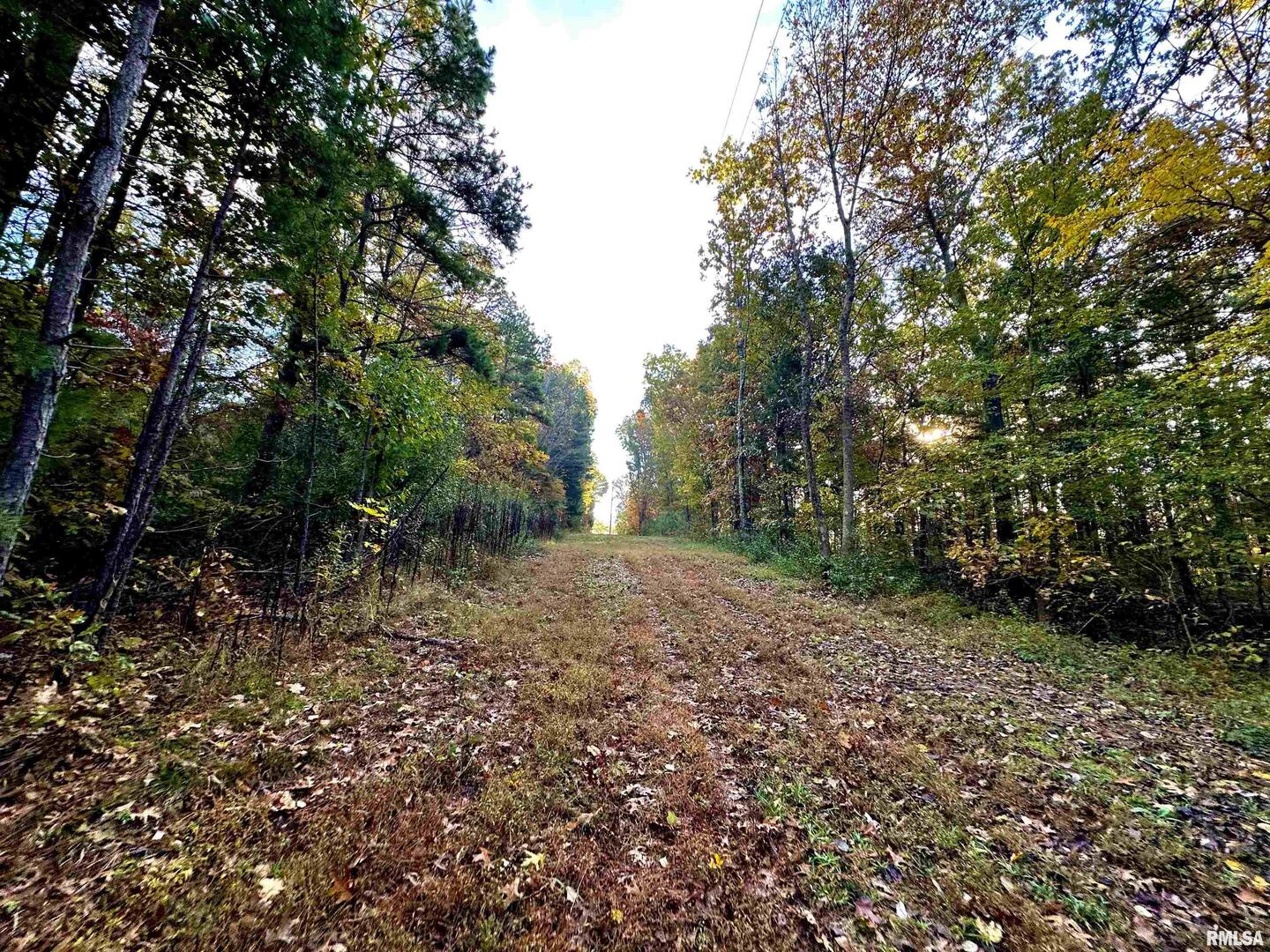 main property photo 52