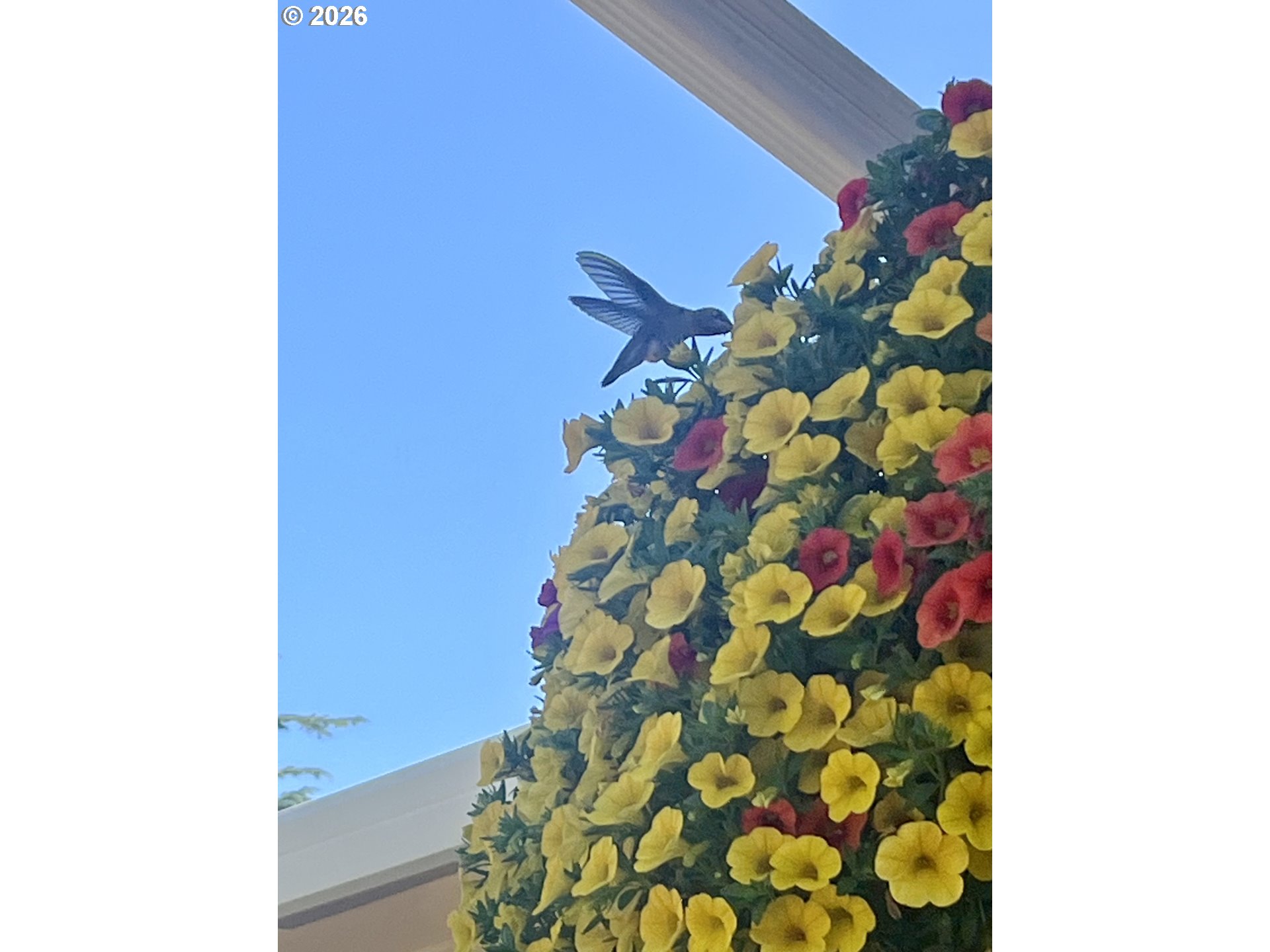 main property photo 44