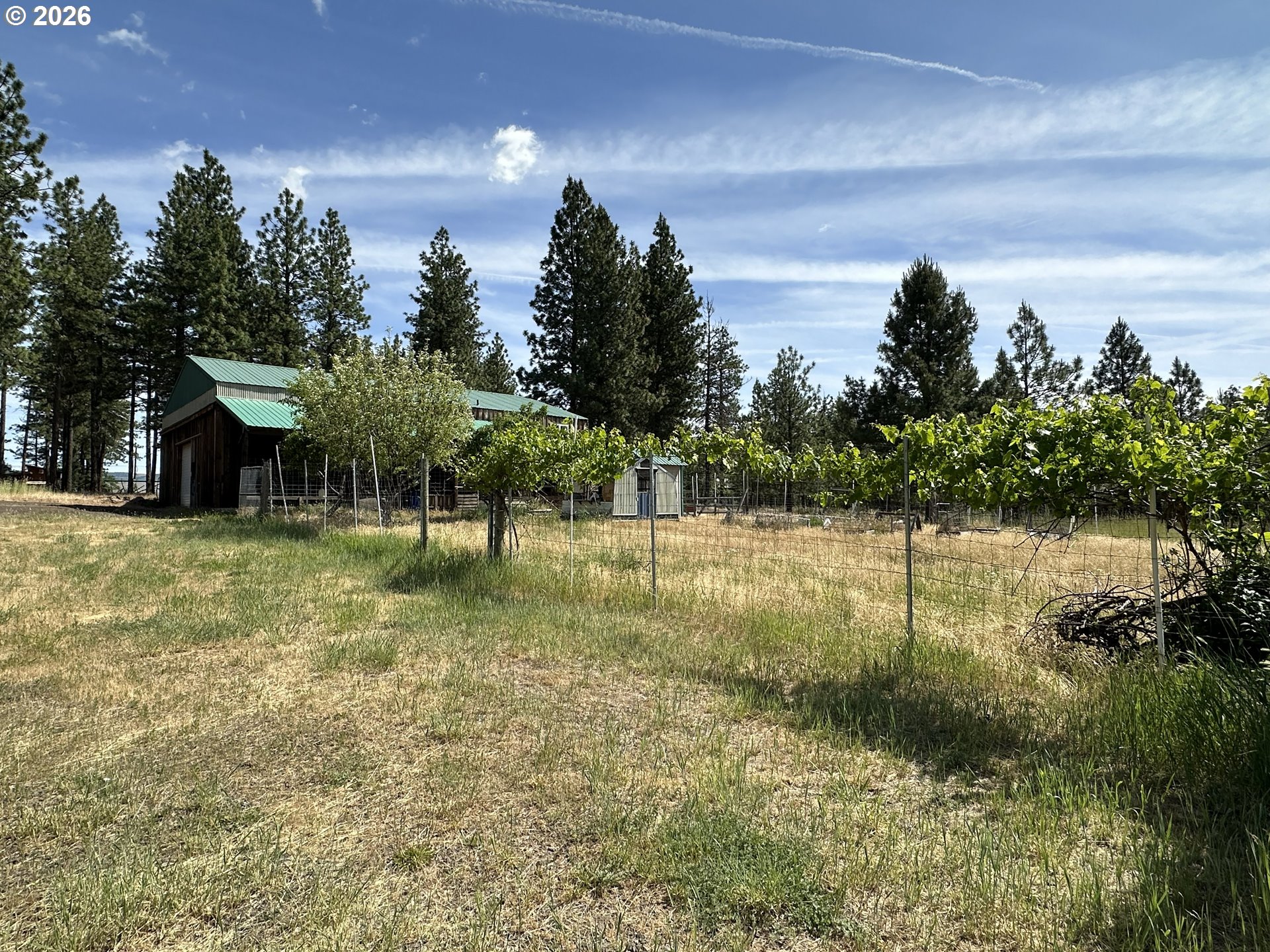 main property photo 40