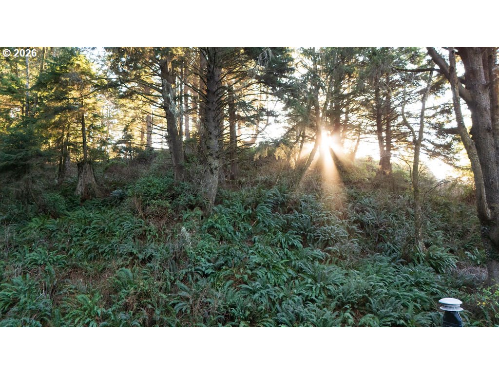 property viewer photo 39